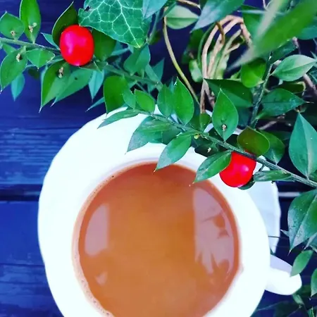 Vakantiehuis Casa Rondo