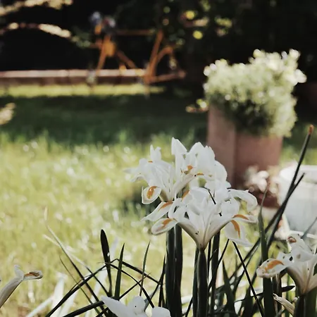 Casa Rondo Vakantiehuis